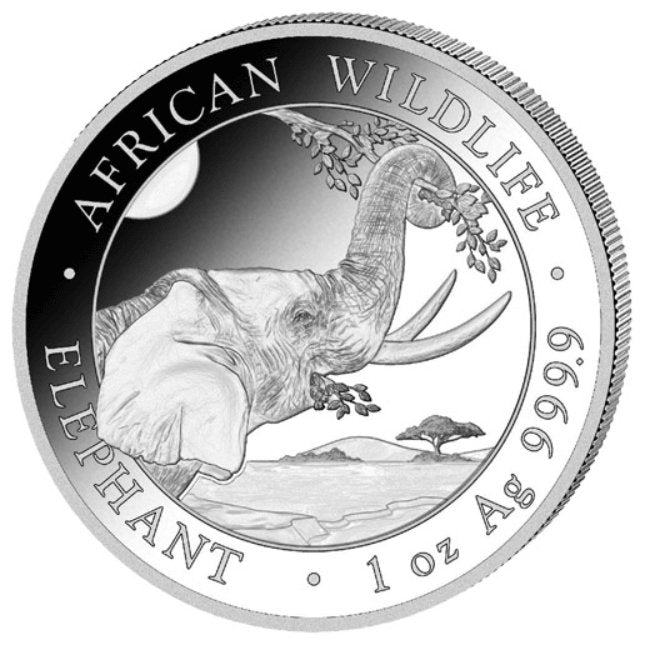 African Wildlife - Słoń Somalijski 2023 - 1 oz Ag