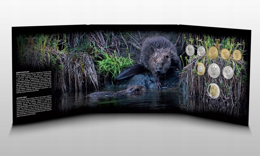 Bóbr europejski - zestaw monet obiegowych 2019